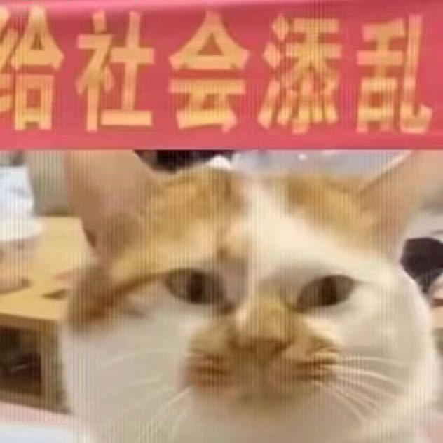 Sun 头像